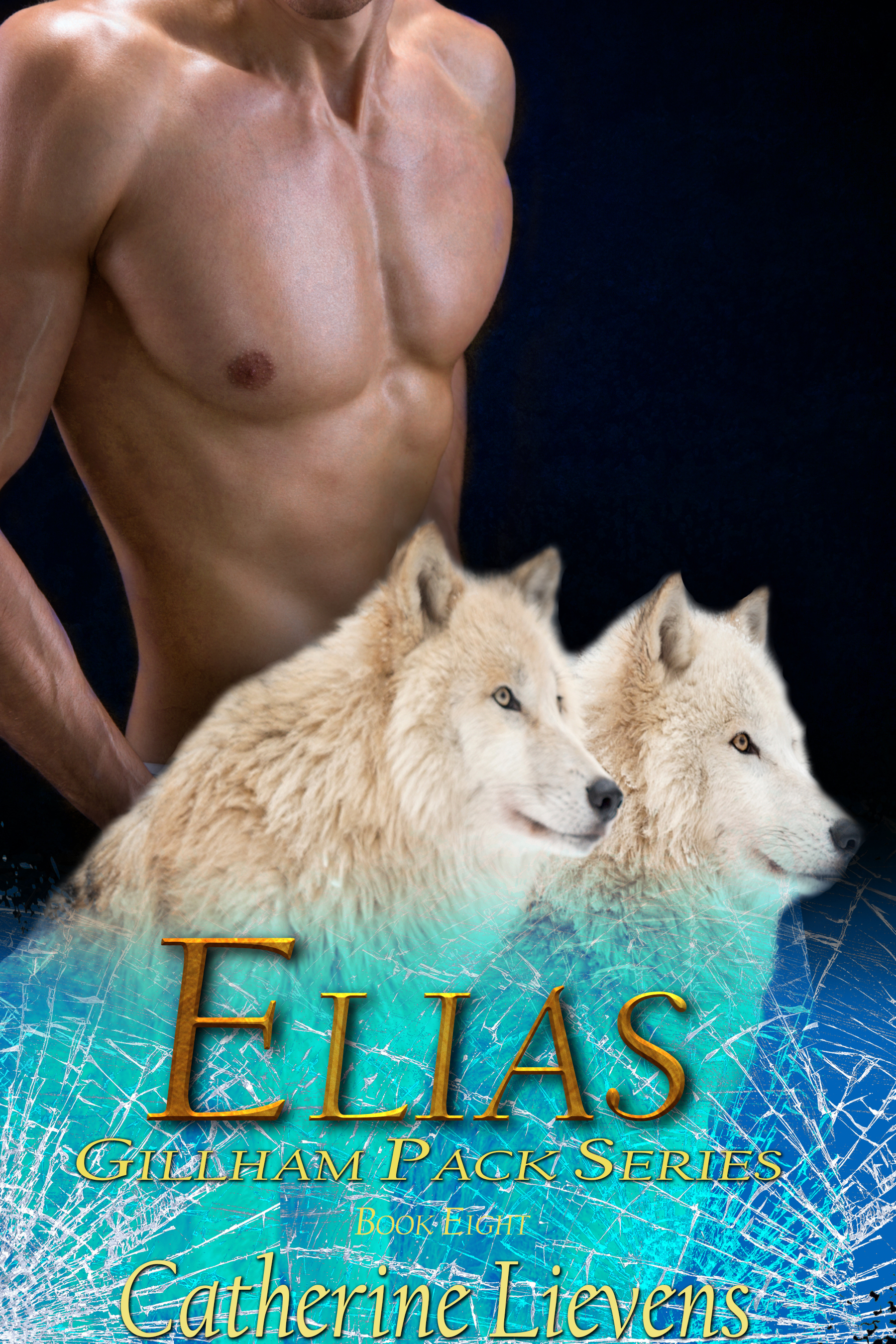 Elias book cover