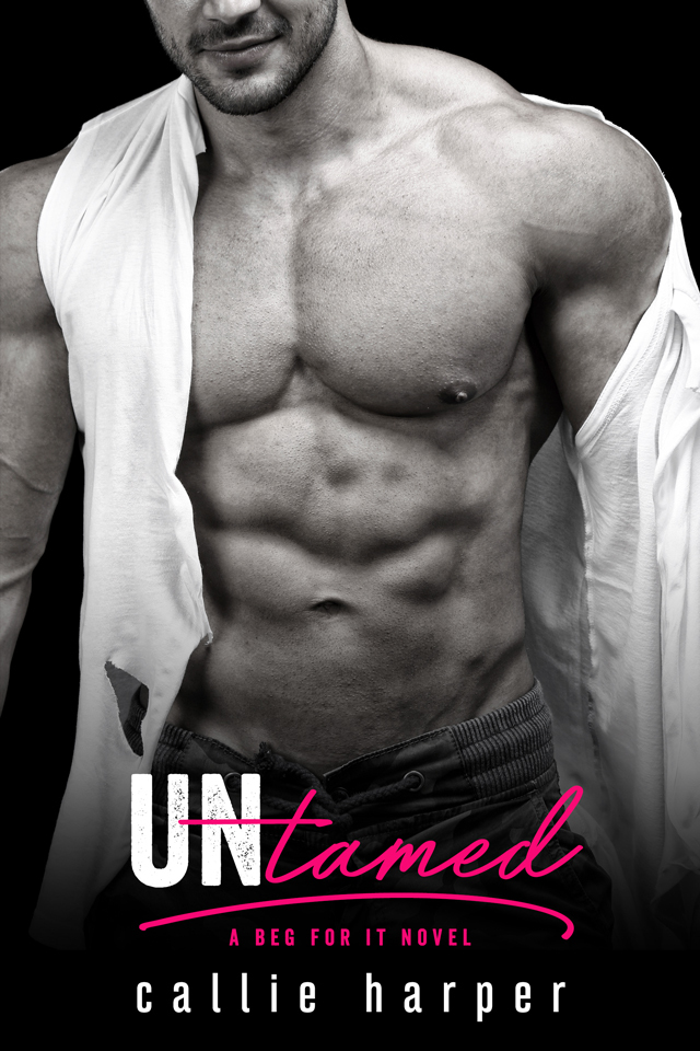 Beg For It book cover 3