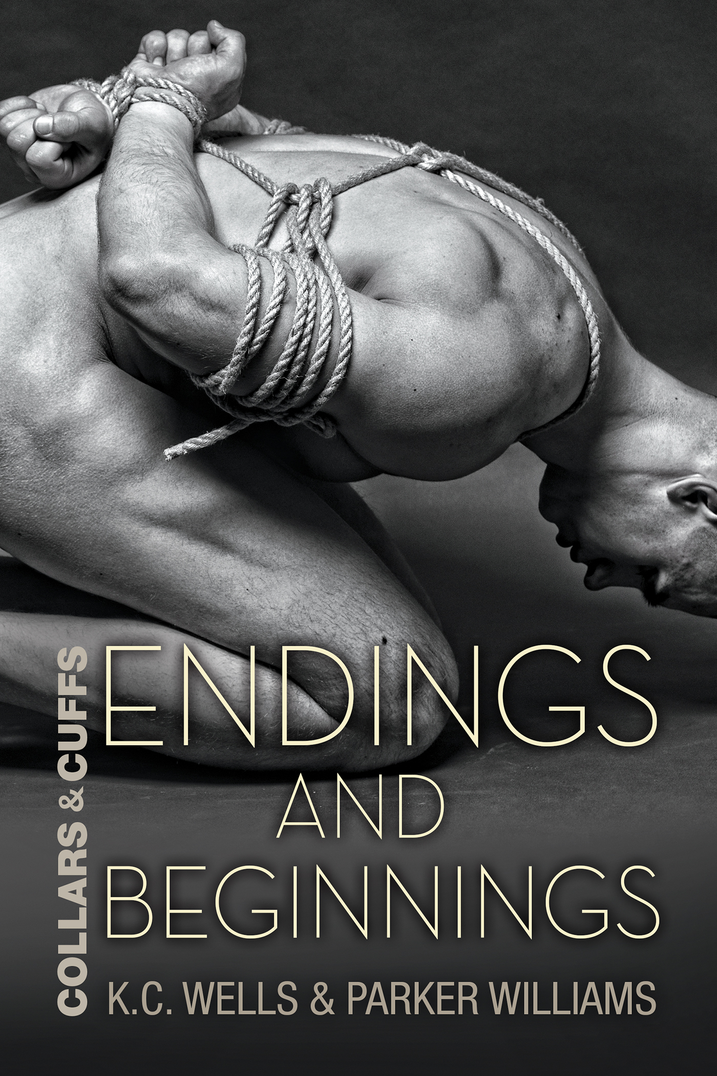 Endings and Beginnings book cover