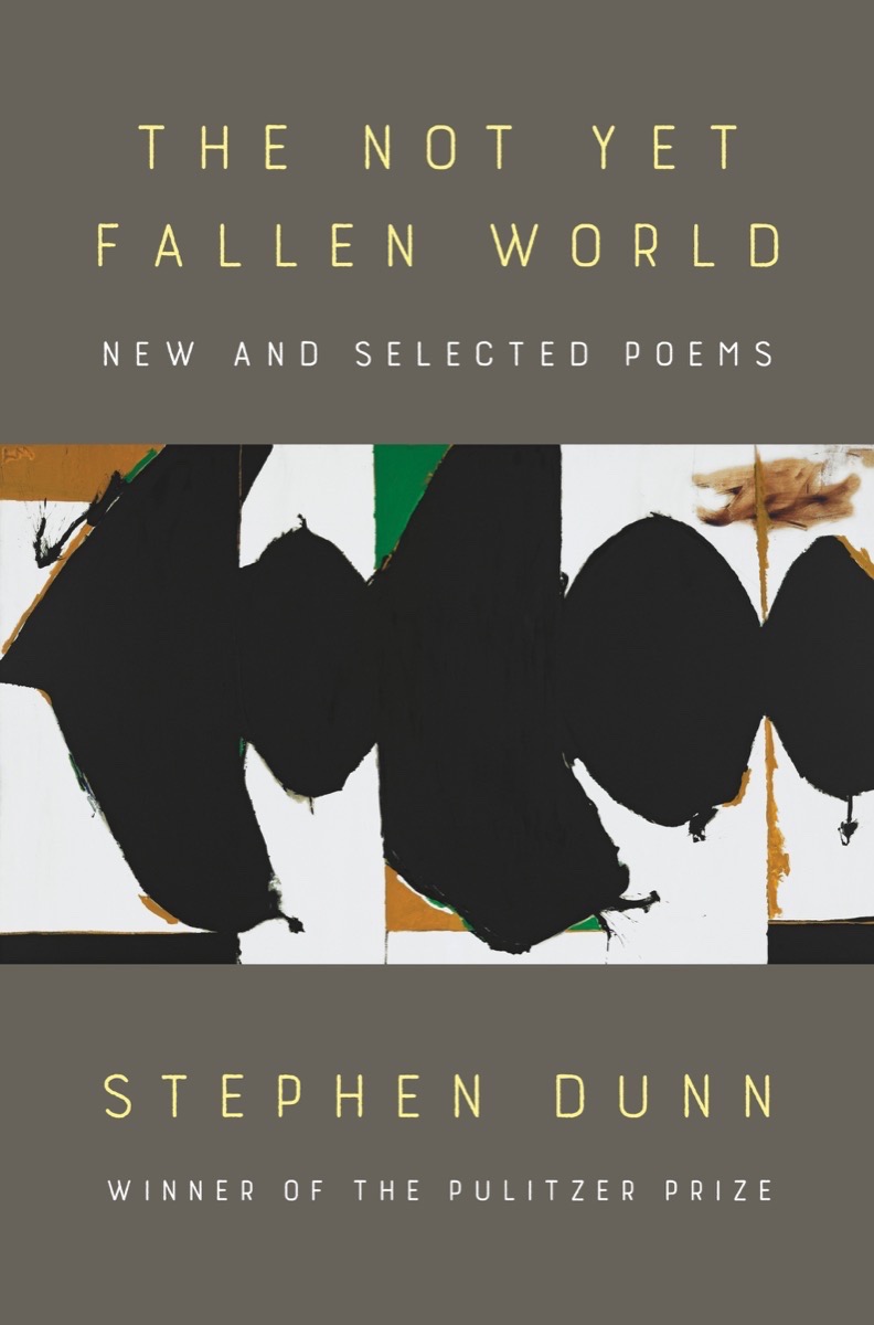 The Not Yet Fallen World book cover
