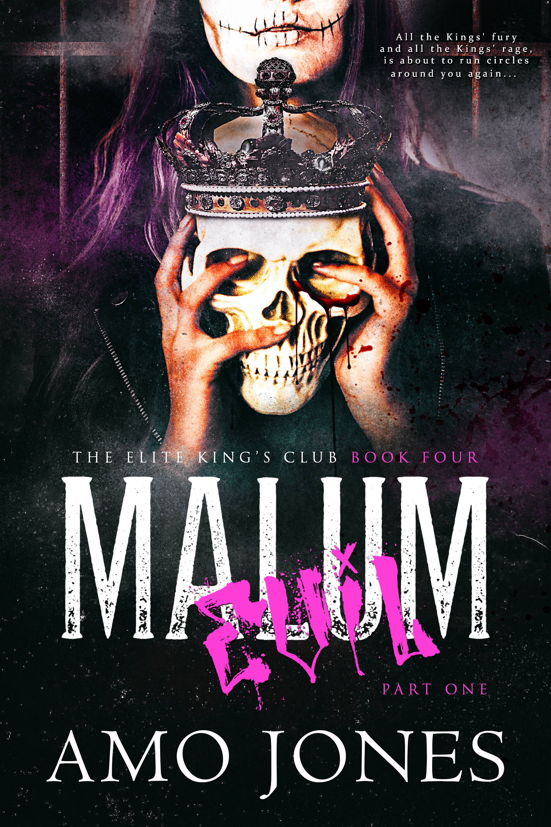 Malum book cover