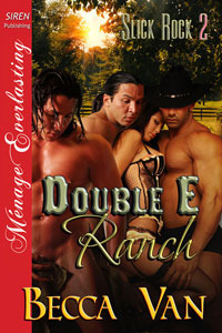 Slick Rock book cover 2