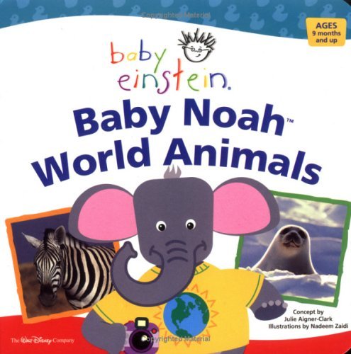 Baby Noah book cover