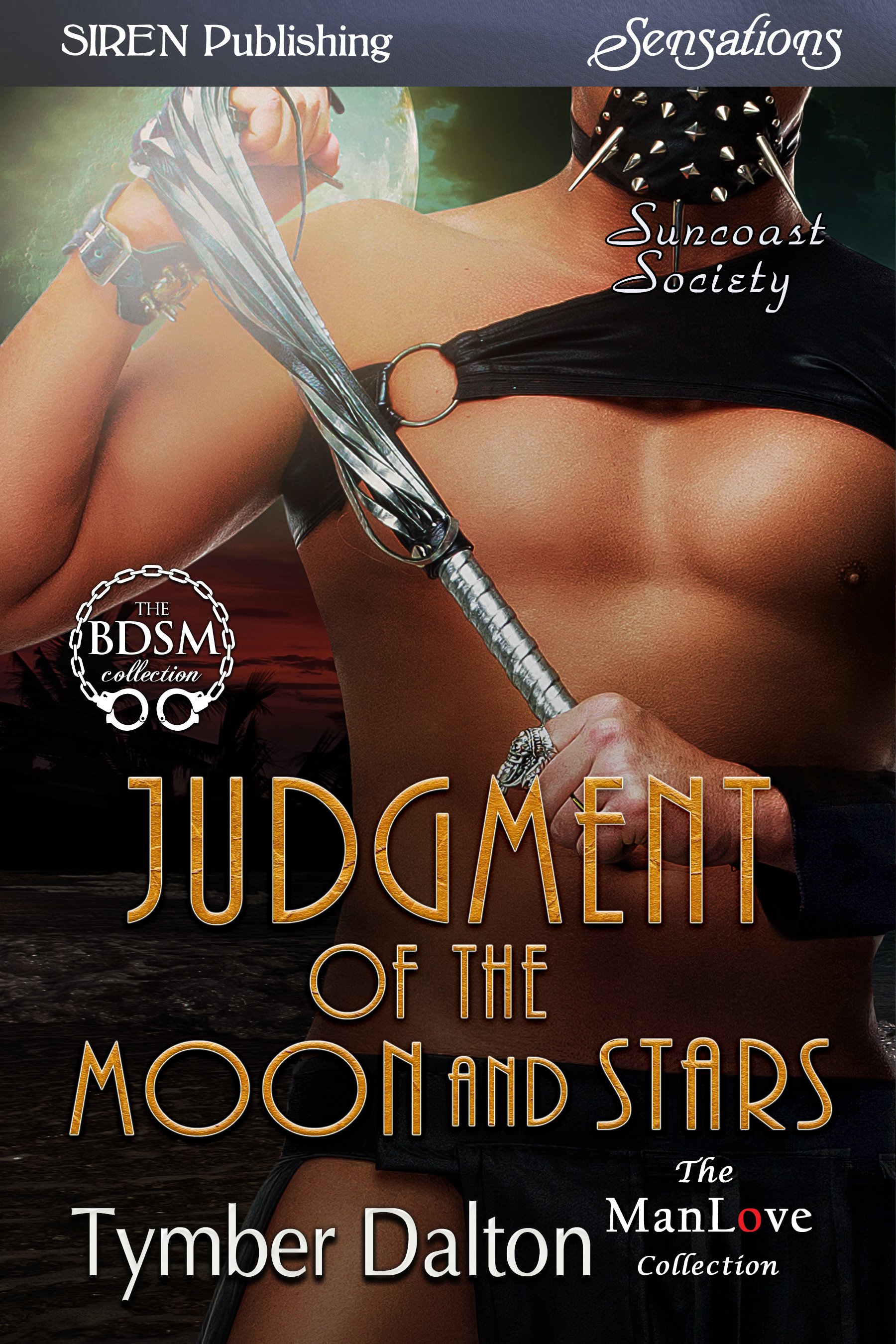 Judgment of the Moon and Stars book cover