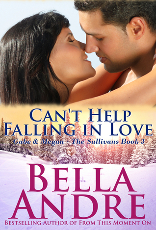 The Sullivans book cover 3