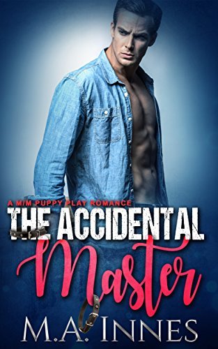The Accidental Master book cover 1