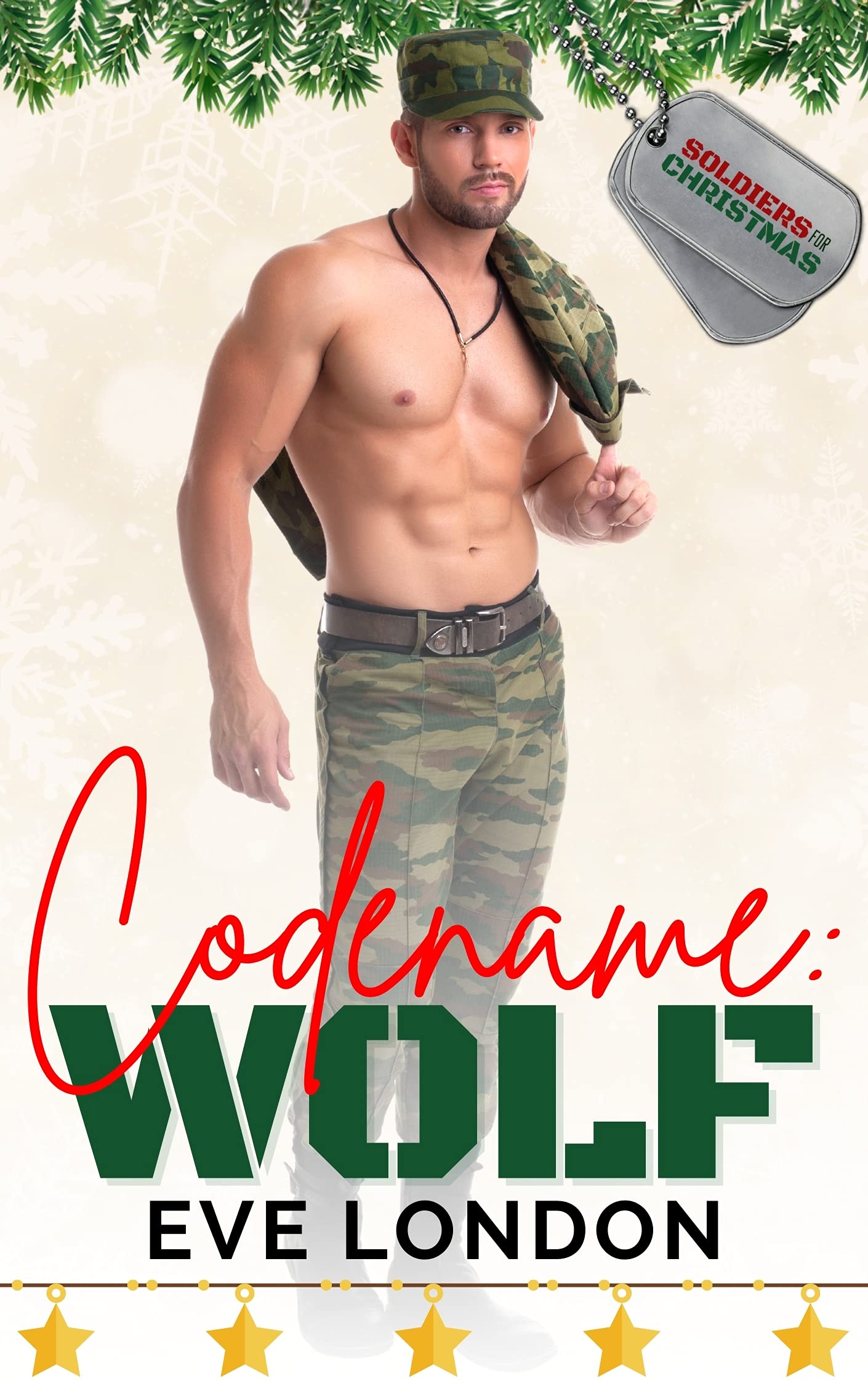 Soldiers for Christmas book cover 2