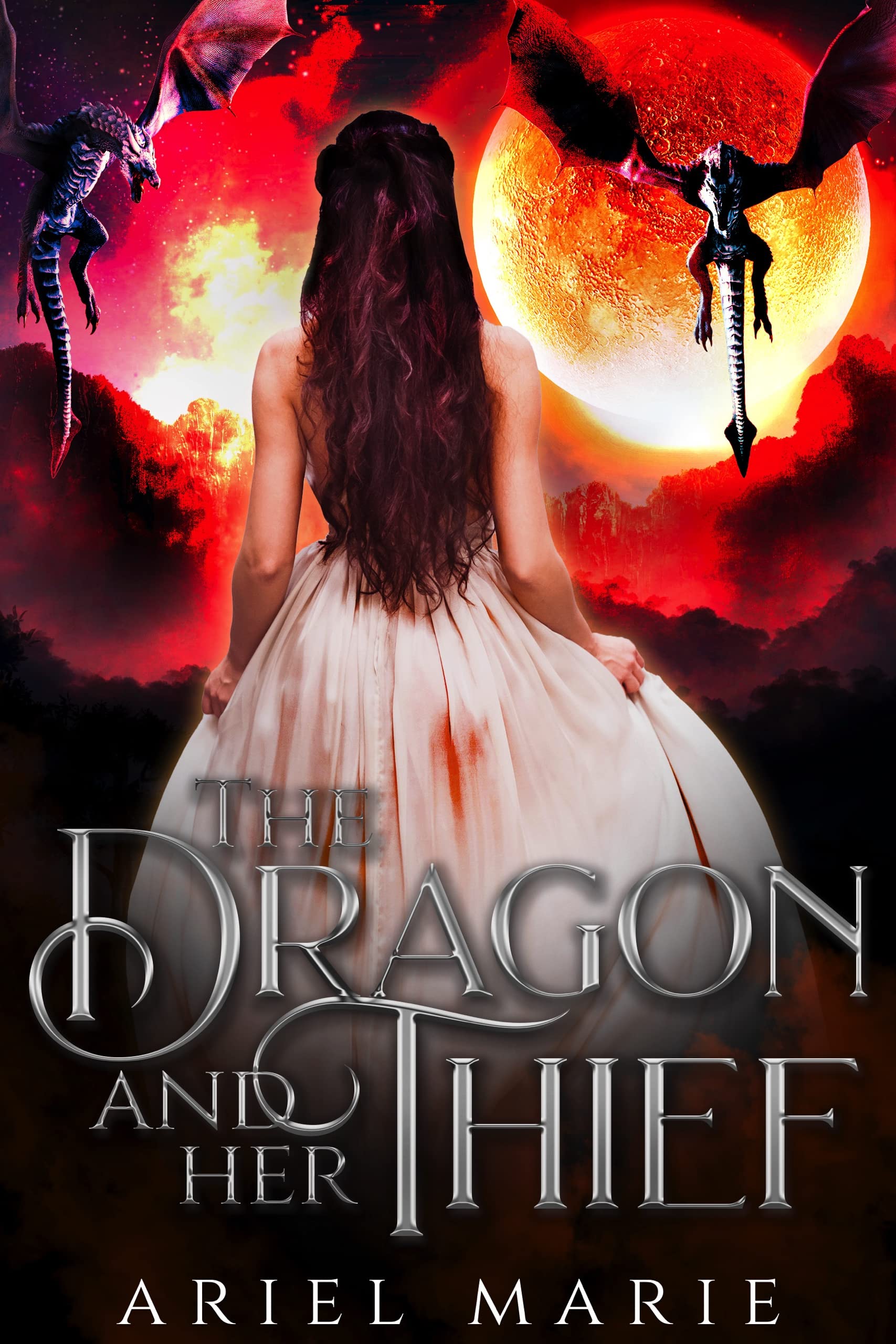 The Dragon and Her Thief book cover