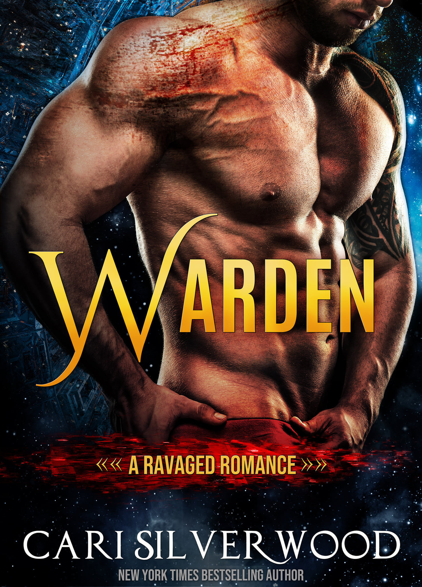 Ravaged book cover 1
