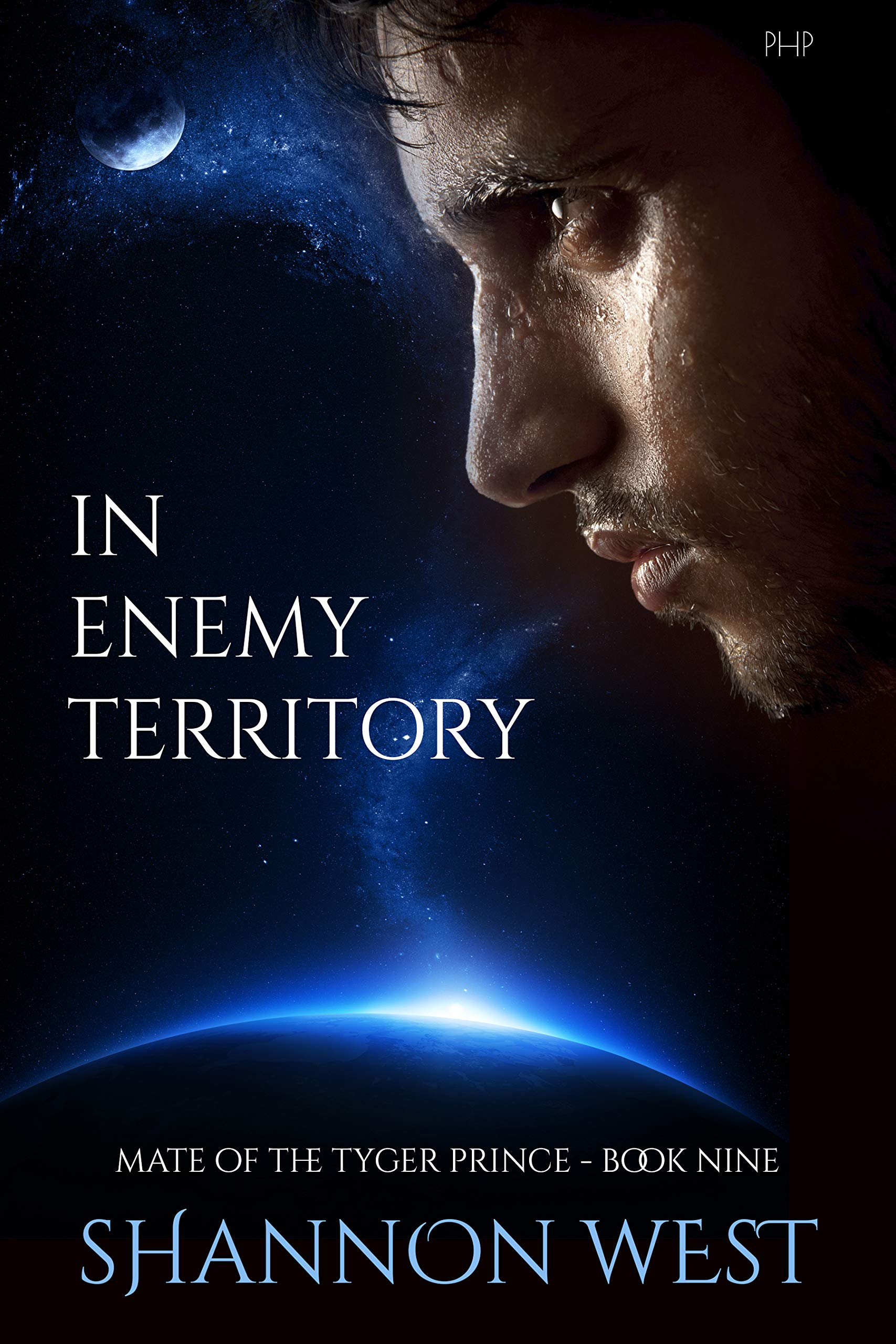 In Enemy Territory book cover