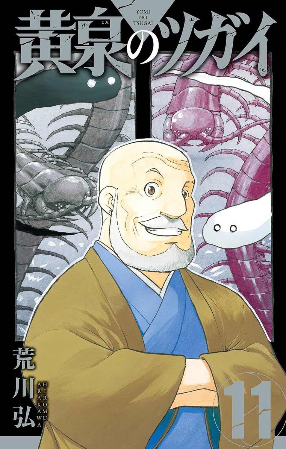 黄泉のツガイ 11 [Yomi no Tsugai 11] book cover