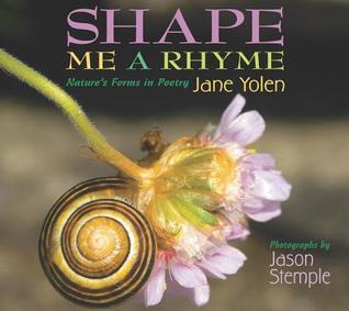 Shape Me a Rhyme book cover