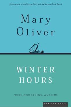 Winter Hours book cover