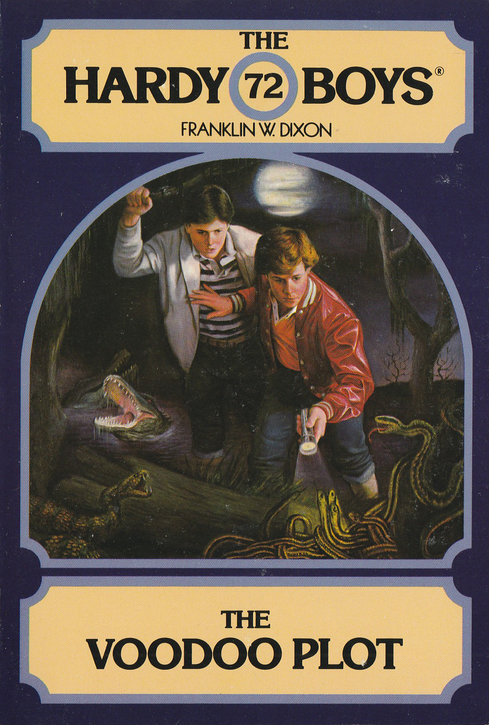 The Voodoo Plot book cover