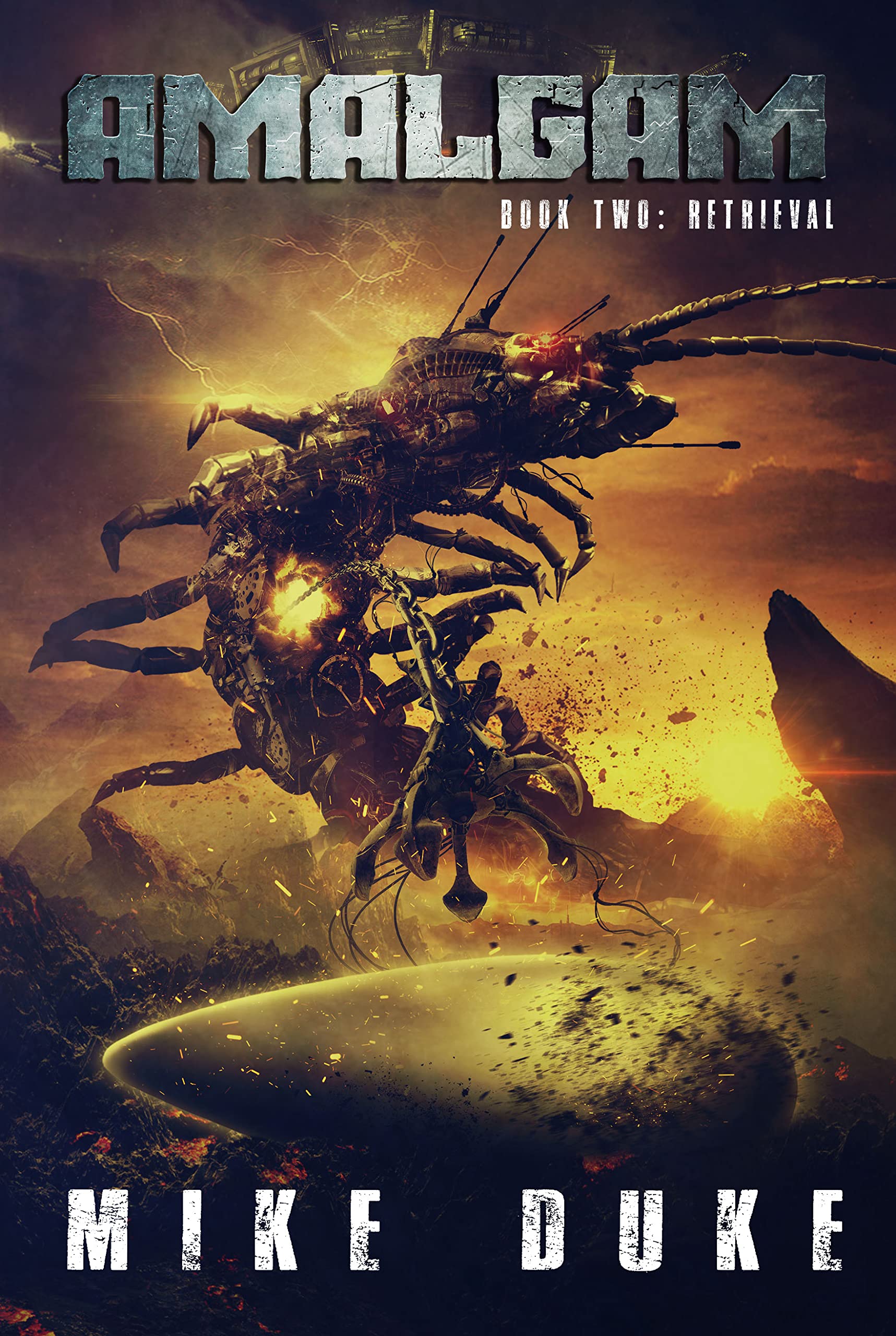 Amalgam book cover 2