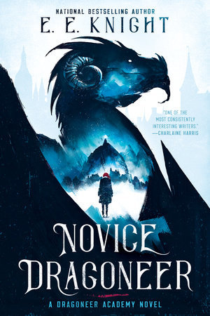 Dragoneer Academy book cover 1