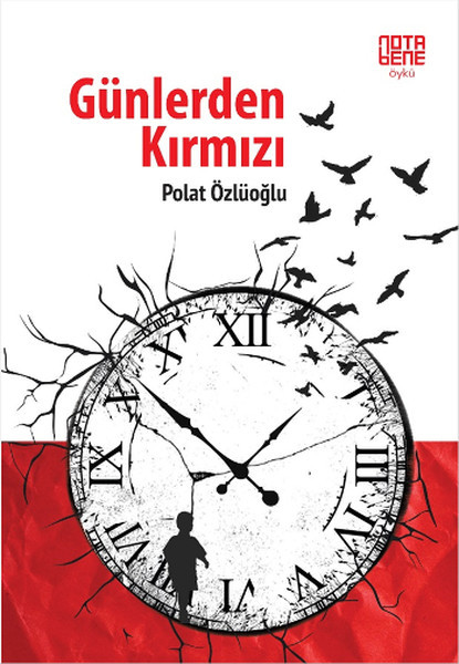 Günlerden Kırmızı book cover