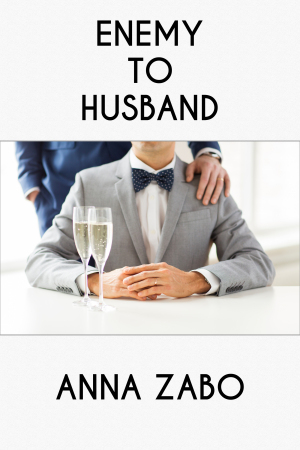 Enemy to Husband book cover