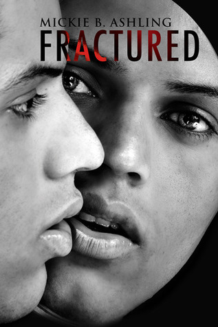 Bay Area Professionals book cover 3