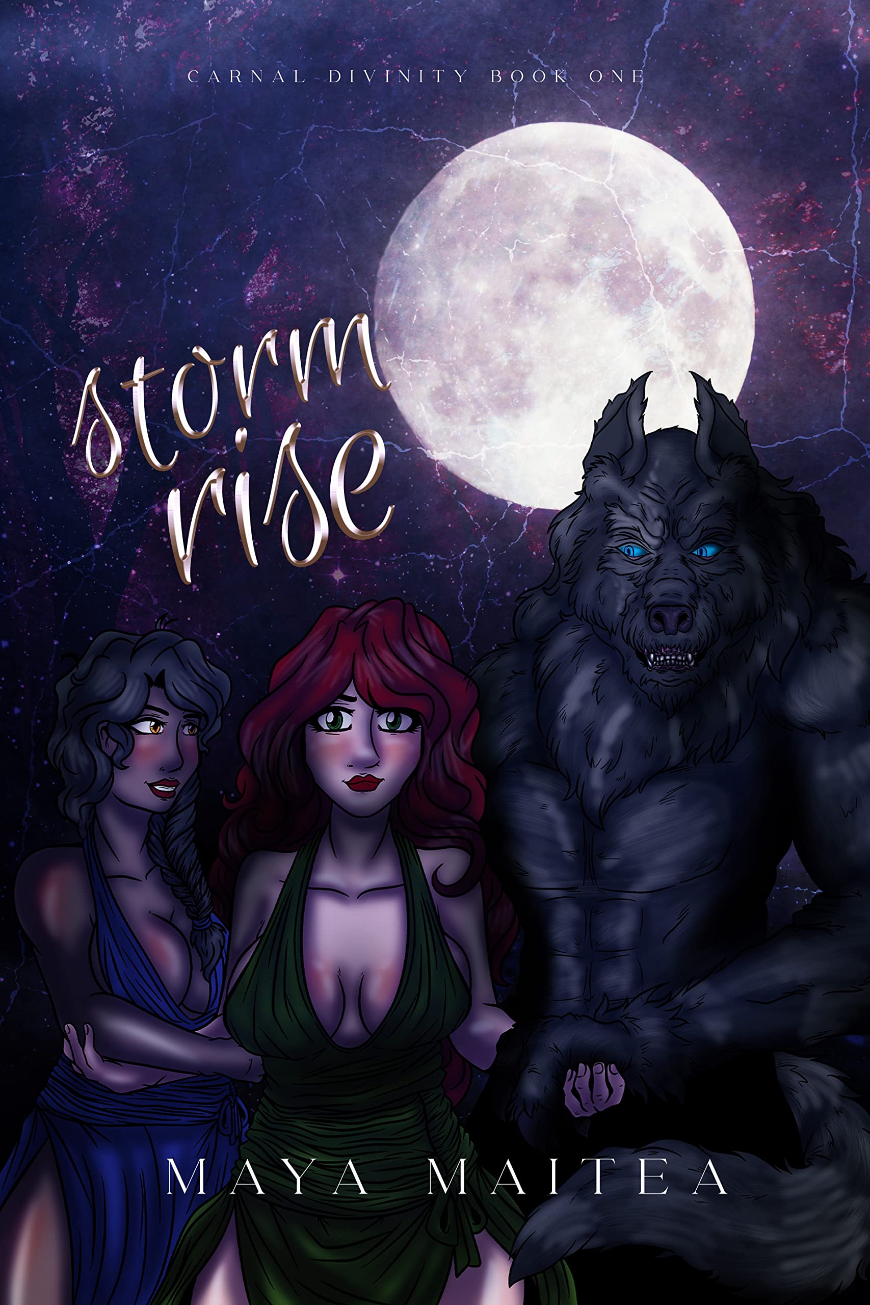 Stormrise book cover