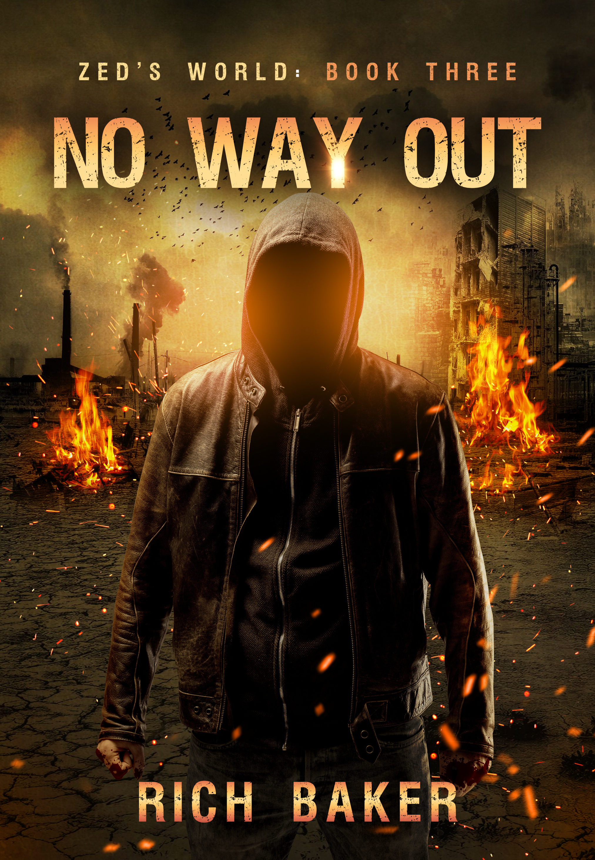 Zed's World book cover 2