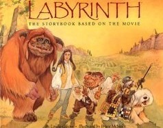 Labyrinth book cover