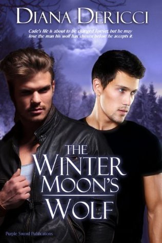 Men of Silo book cover 3