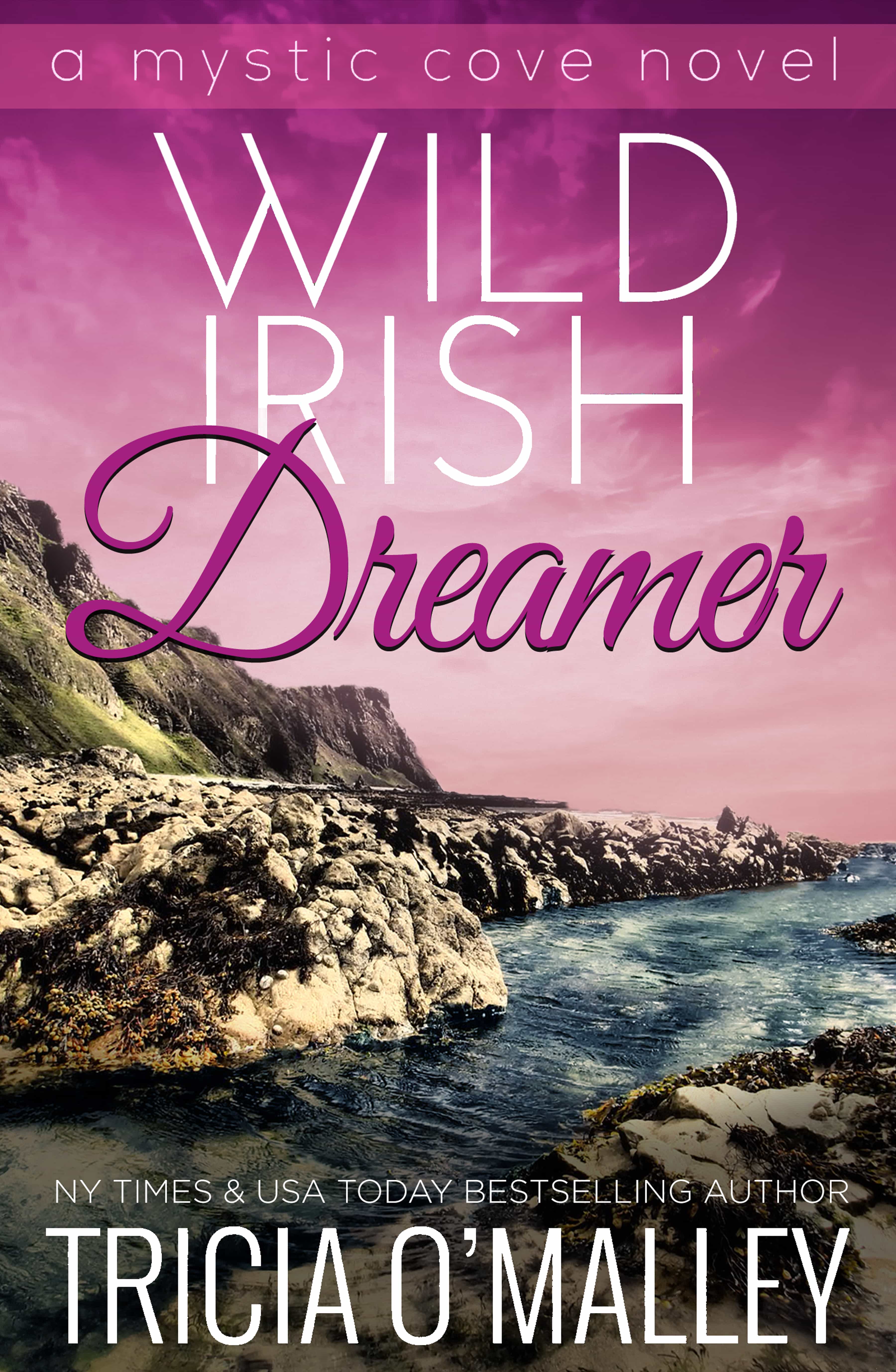 Wild Irish Dreamer book cover