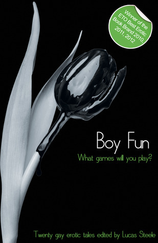 Boy Fun book cover