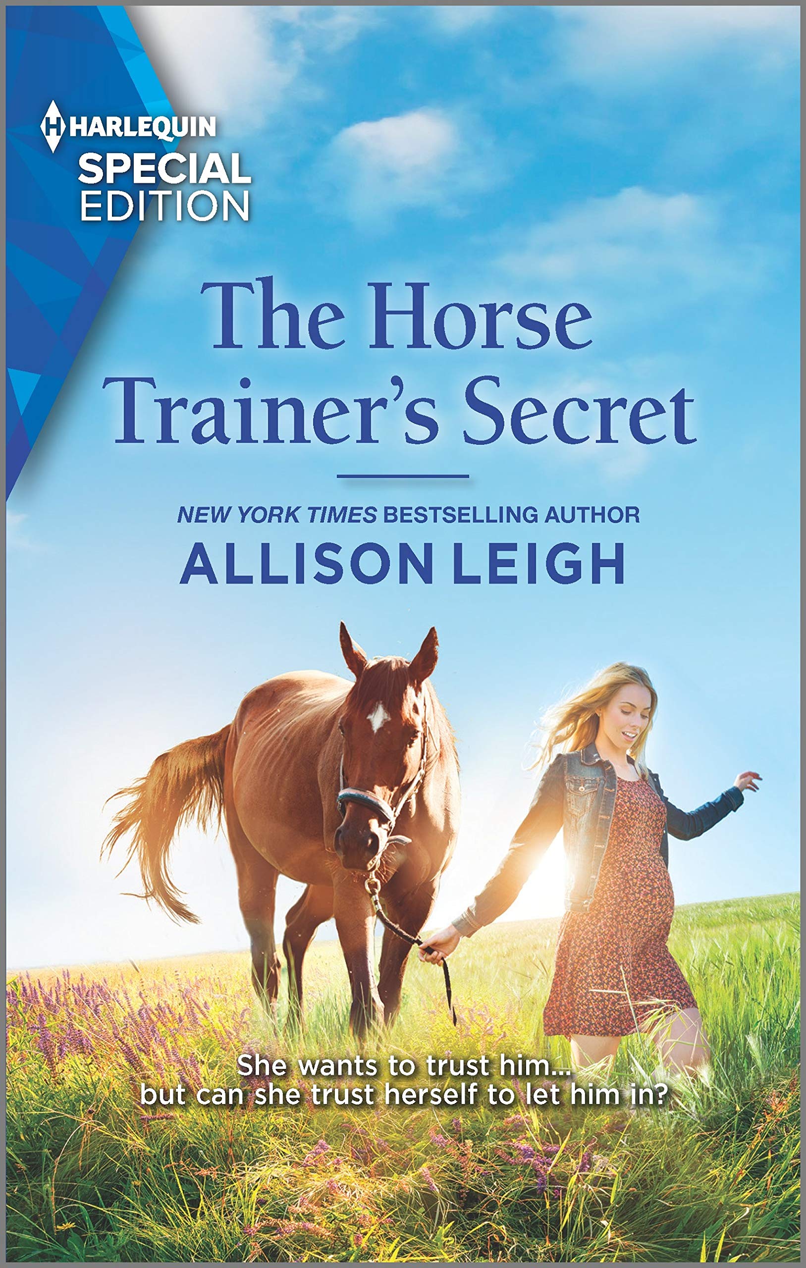 The Horse Trainer's Secret book cover