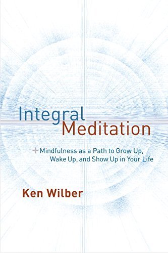 Integral Meditation book cover