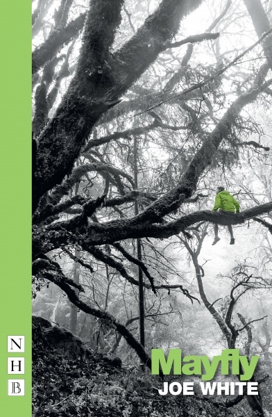 Mayfly book cover