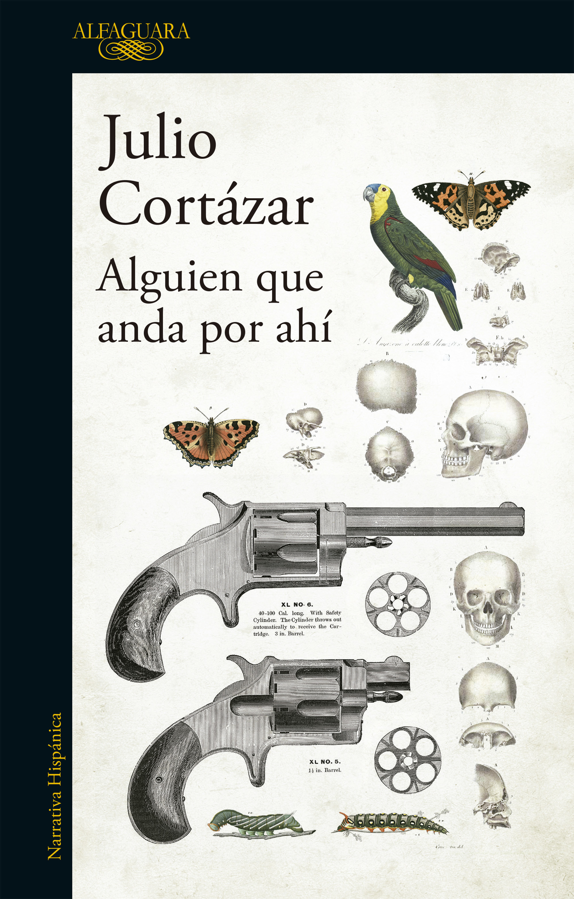 Alguien que anda por ahí book cover