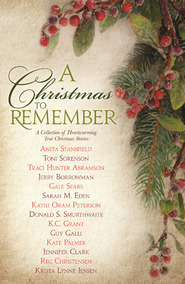 A Christmas to Remember book cover