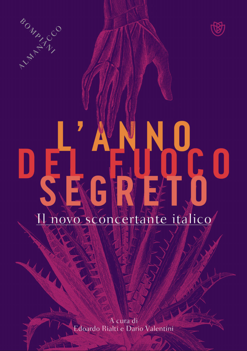 L'anno del fuoco segreto book cover