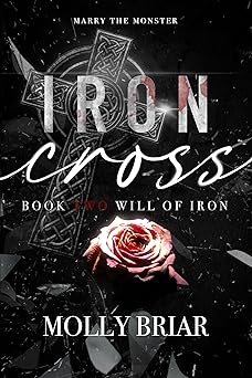 Iron and Steel book cover 3