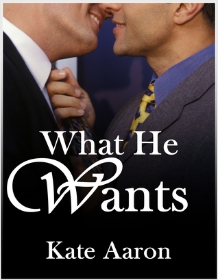 What He Wants book cover