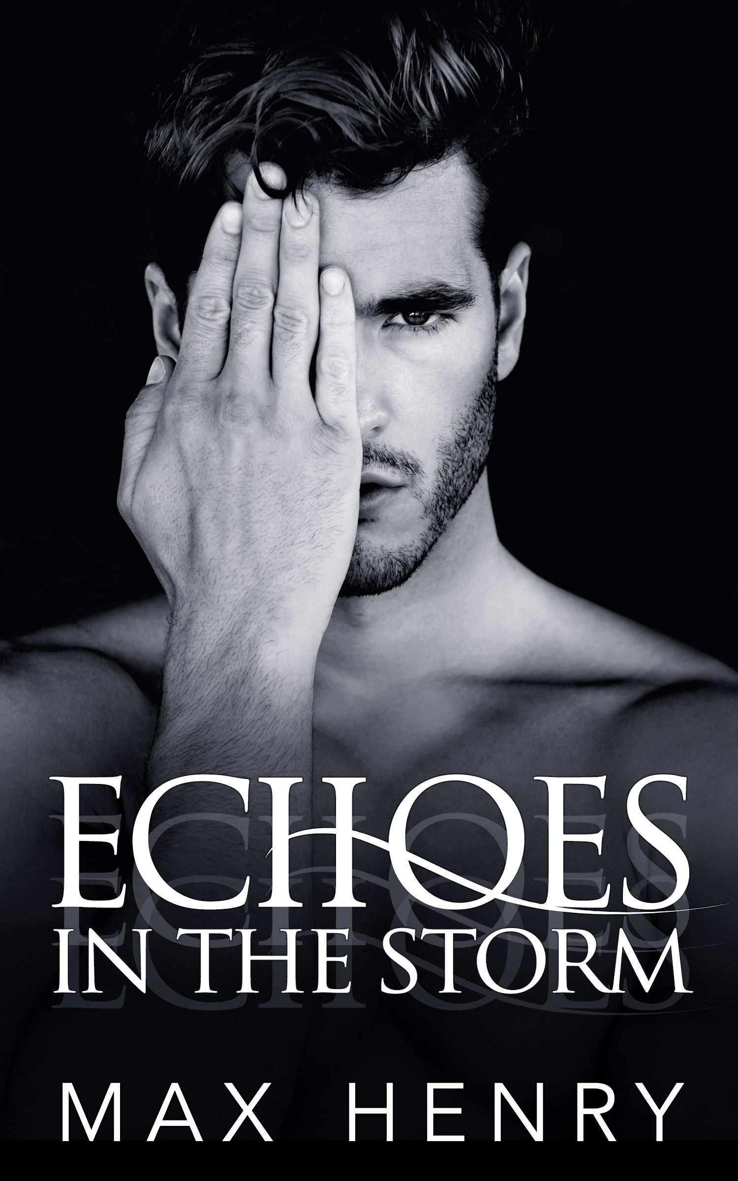 Echoes in the Storm book cover