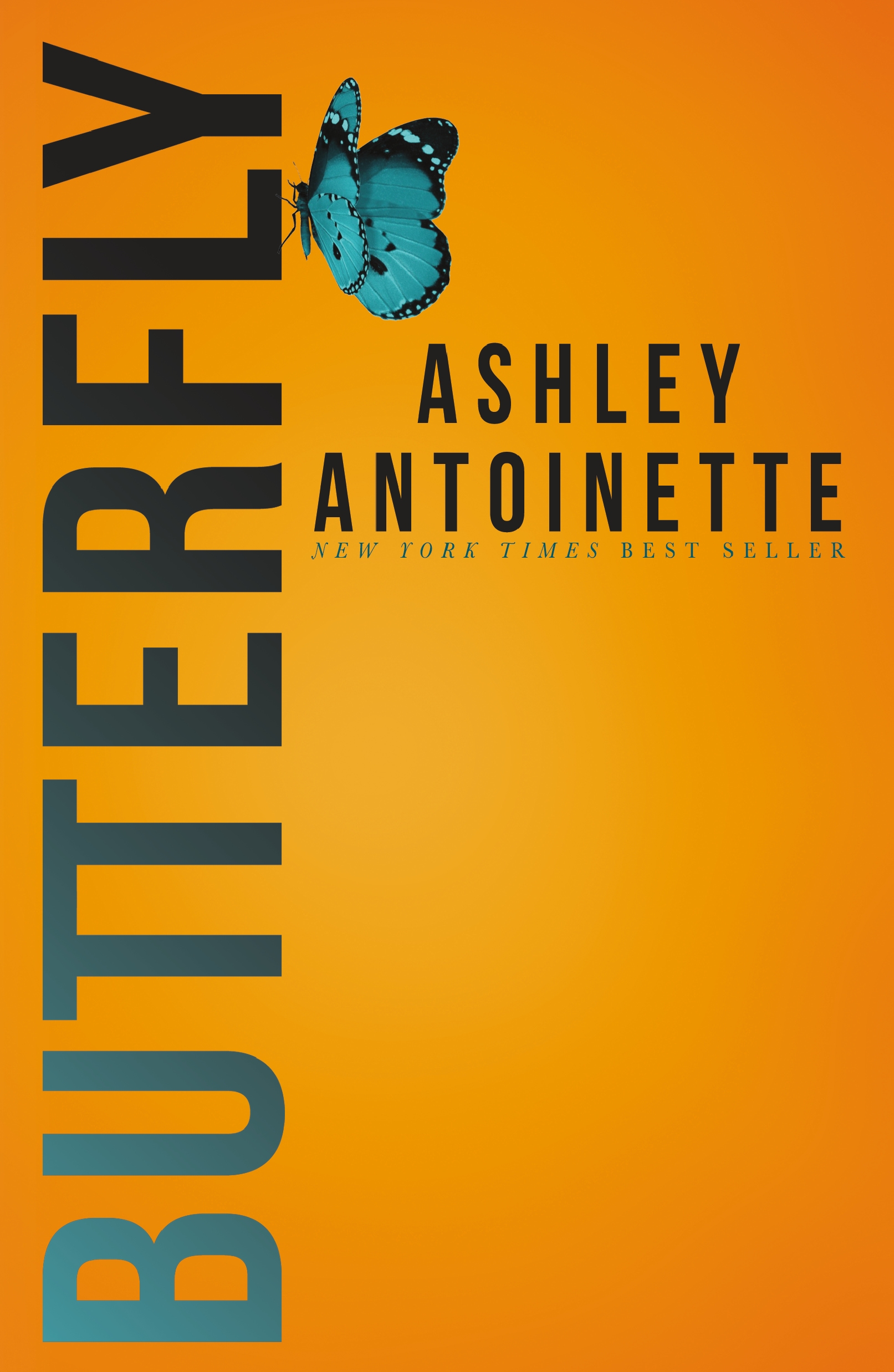 Butterfly book cover 1