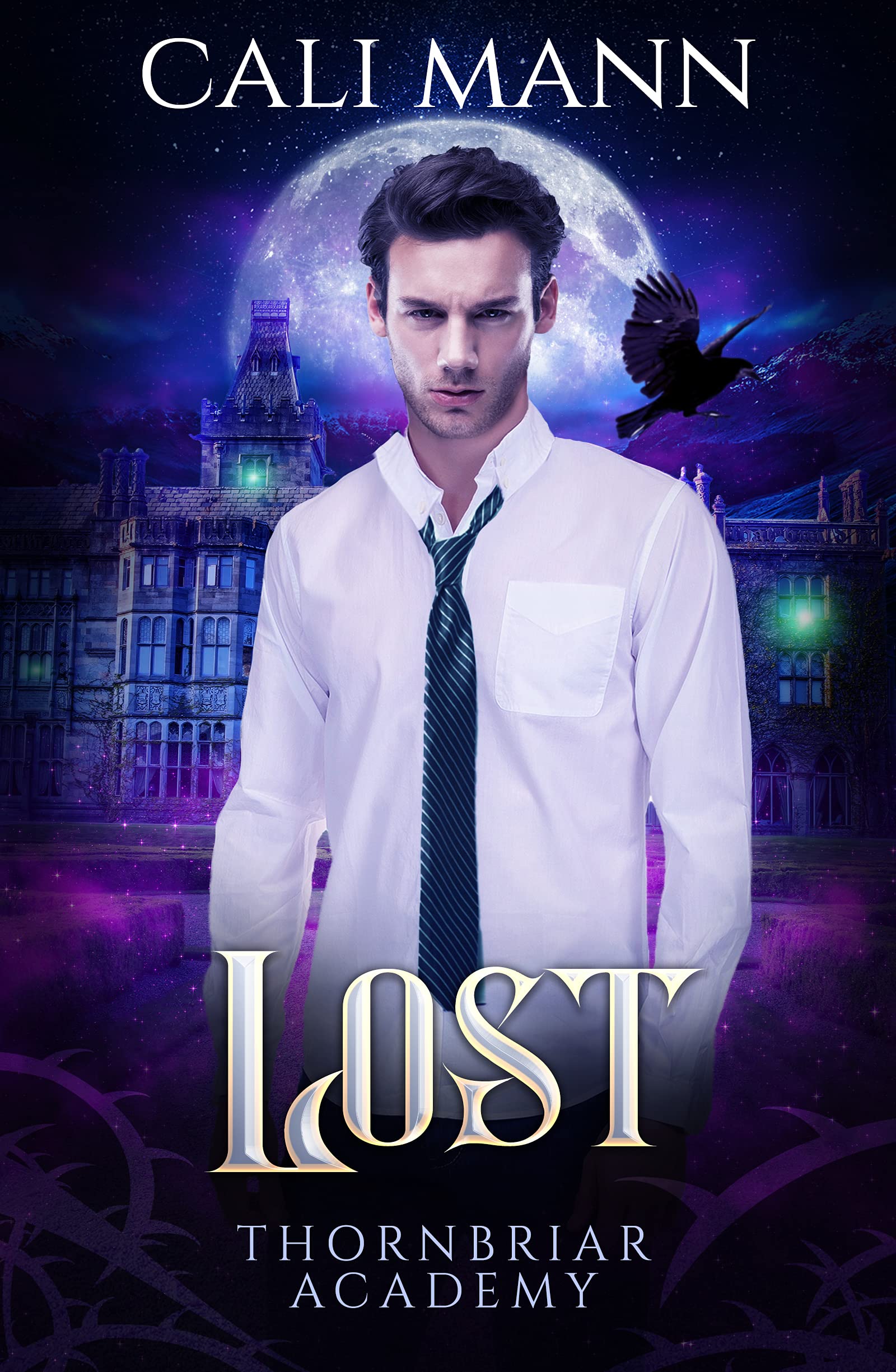 Lost book cover