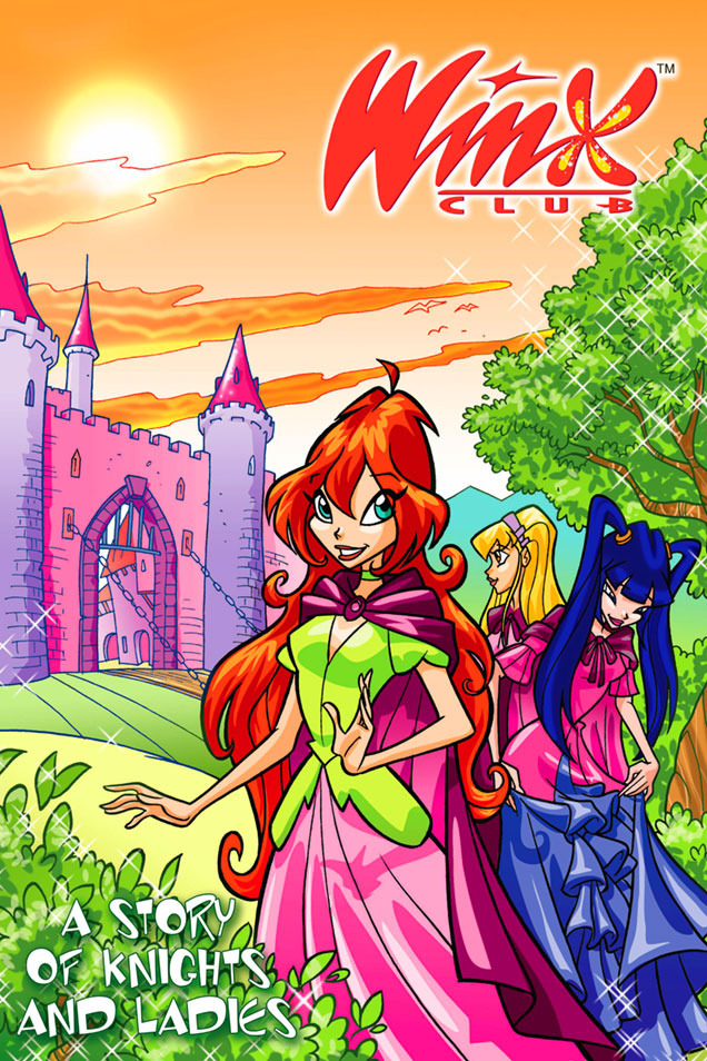 A Story of Knights and Ladies book cover