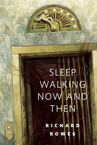 Sleep Walking Now and Then book cover