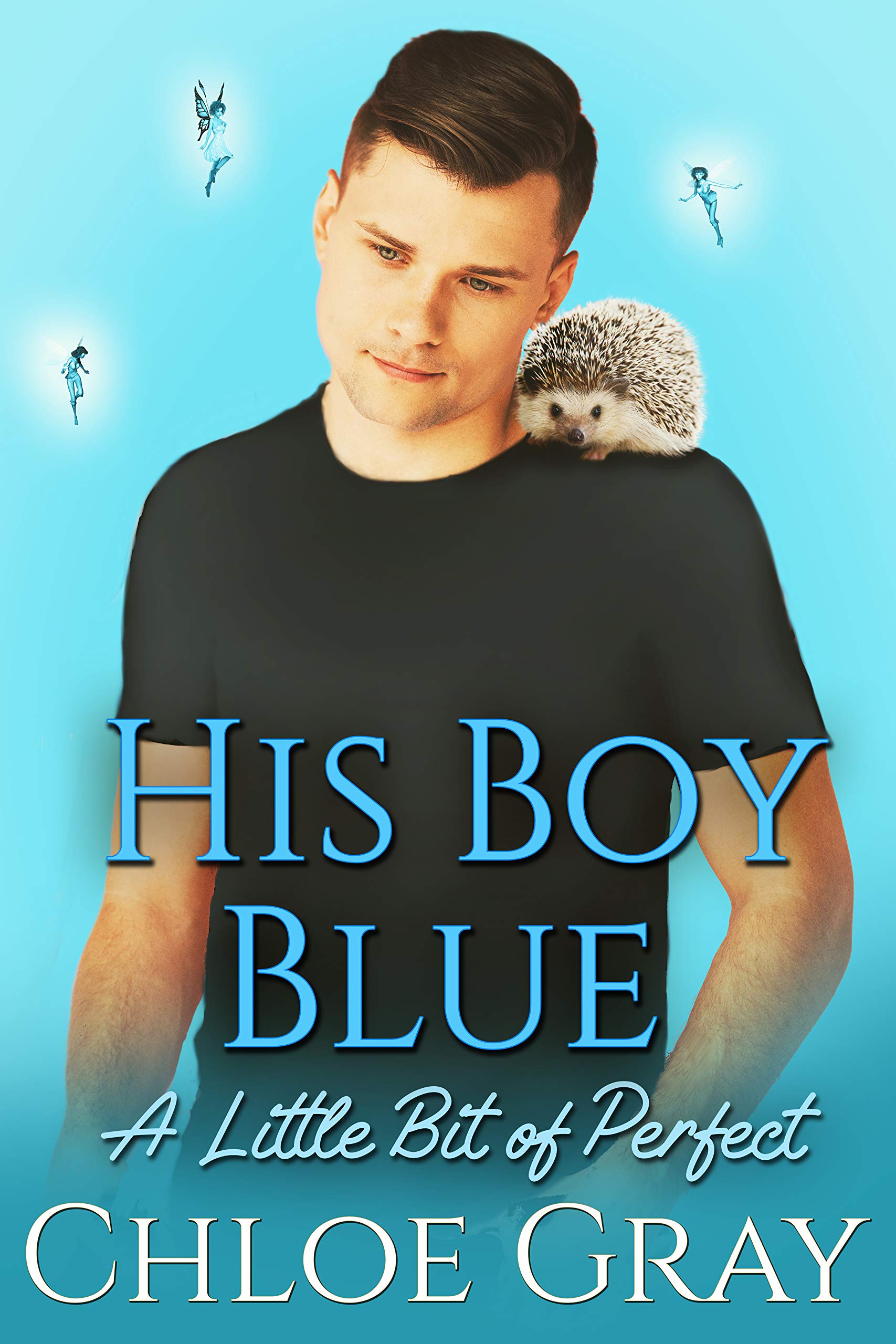 A Little Bit of Perfect book cover 1