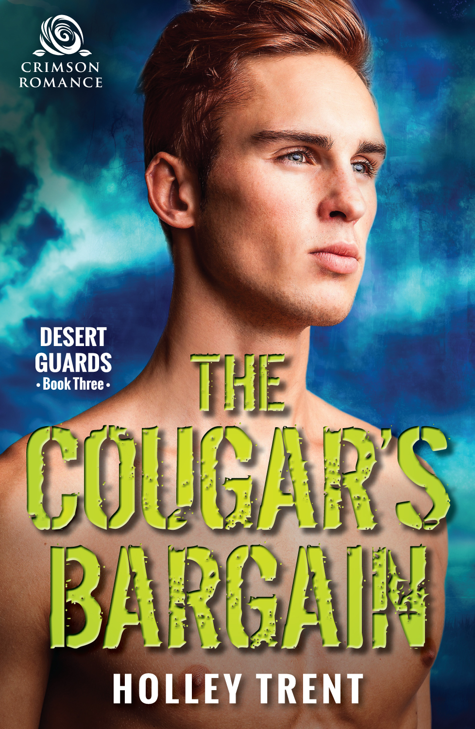Desert Guards book cover 3