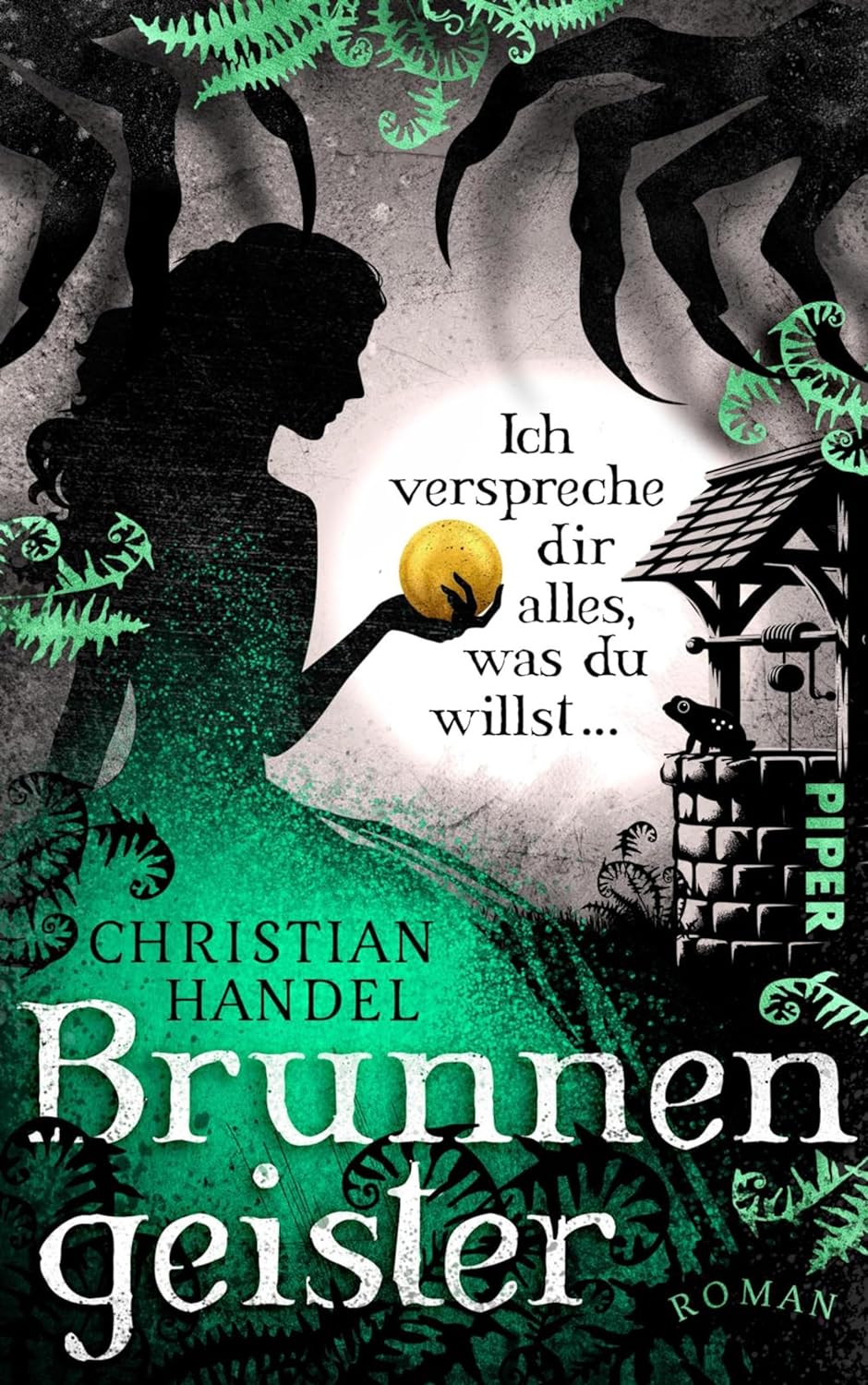Brunnengeister book cover