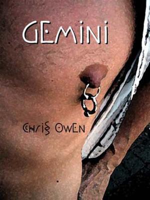 Gemini book cover