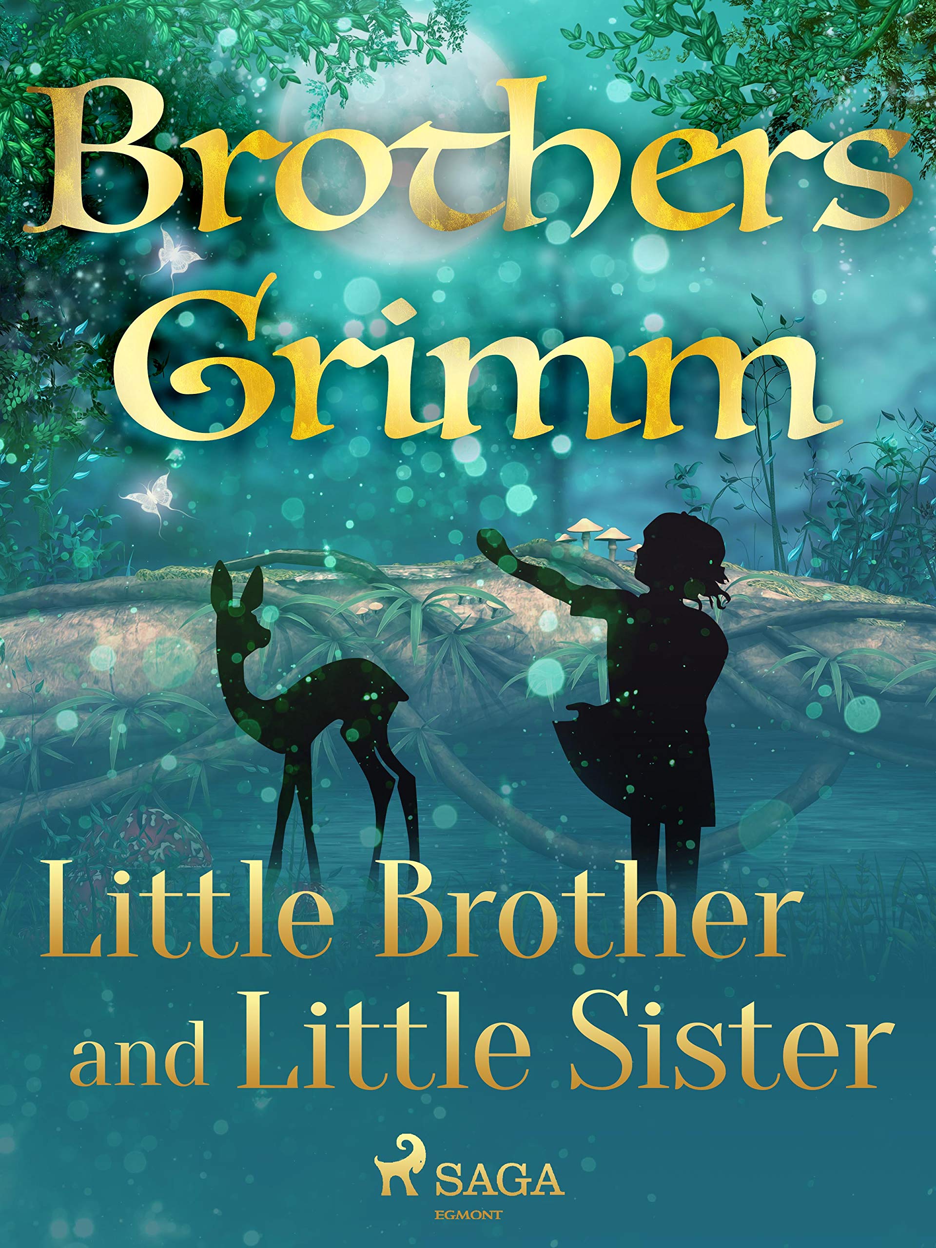 Little Brother and Little Sister book cover