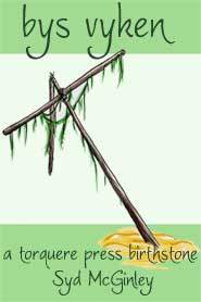 Bys Vyken book cover