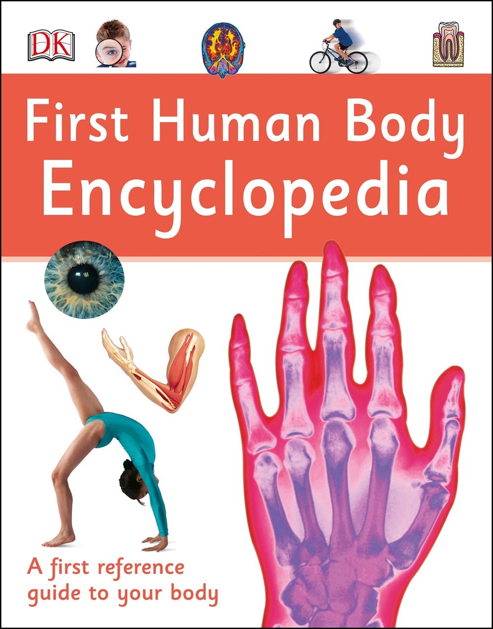 First Human Body Encyclopedia book cover