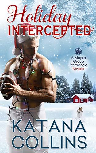 Holiday Intercepted book cover
